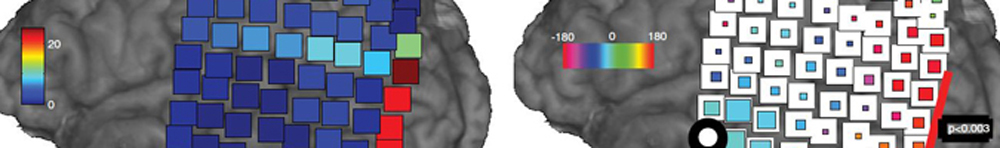 Locations of brain regions active in task