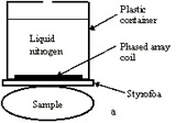 Liquid-nitrogen cooled phased array coil