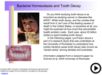 Bacterial homeostasis and tooth decay