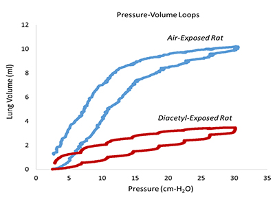 Lung function testing in chemically-exposed rodents. Pressure-volume loops, as seen on a ventilator in the ICU