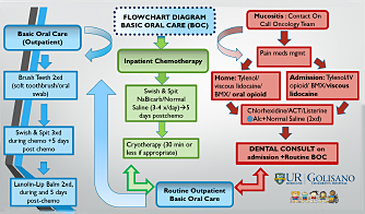 Basic Oral Care BOC diagram