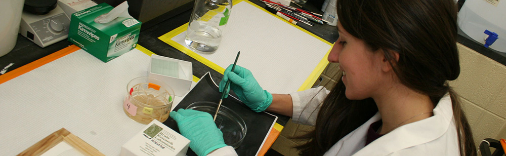 women working with petri dish in lab