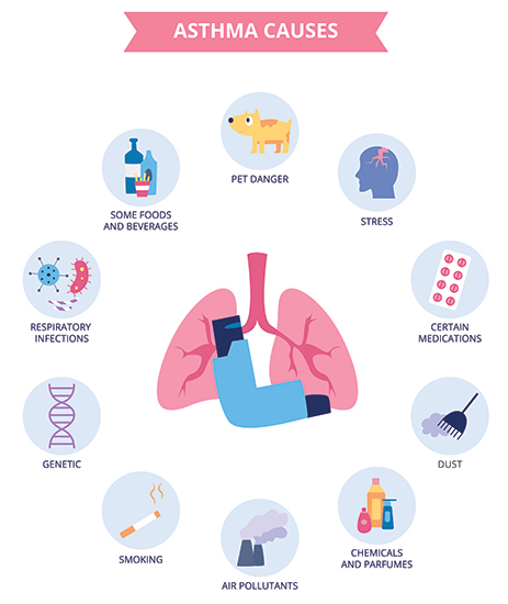 Common causes of asthma include: Respiratory infections, certain foods and beverages, pets, stress, certain medications, dust, chemicals and perfumes, air pollutants, smoking, and genetics.