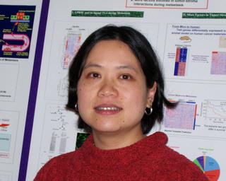 Lei Xu, Ph.D.