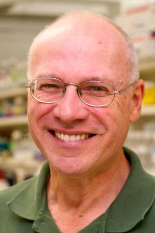 Philip J. Fay, Ph.D.