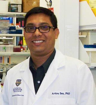 Aritro Sen, Ph.D.