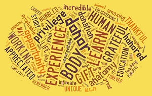 Image of word cloud: Experience, donor, body, learn, gift, grateful, human