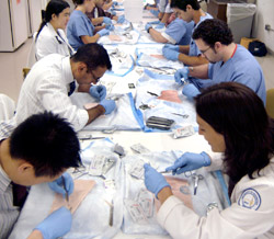 Student Programs