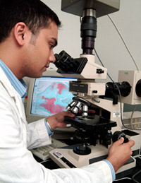 Basic & Translational Research Division