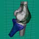 Knee Flexion Mechanics
