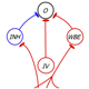 Picture of Computational Models of the Auditory System
