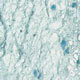 Hydrogel culture environments for regenerative medicine applications