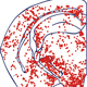 Neuroinflammation Following Therapeutic Radiation