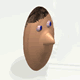 Kinematics and Plasticity of the Vestibulo-Ocular Reflex