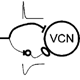 Computational Models for Central Auditory Neurons