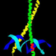 Nuclear Targeting of Plasmids and Protein-DNA Complexes