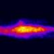 Picture of Vascular endothelial cells