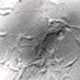 Programmable Nanostructured Biomaterials for Neuronal Growth