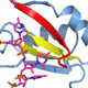 Polypyrimidine Tract Recognition By U2AF65