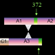 Mechanisms for the Proteolytic Activation of Factor VIII