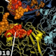 Intermolecular Interactions in Factor Xase Assembly and Function