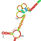Regulation of HO-2