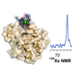 Picture of Optically-pumped Xe as a chemical-shift probe of atherosclerotic plaques