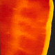 Picture of Living coronal slice