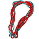 Picture of Reconstruction of DNA filaments from cryo-electron micrographs
