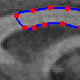 Picture of Efficient algorithms for parametric snakes