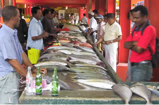 Fish market in Seychelles