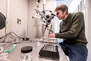 Researcher Looking Through a Microscope