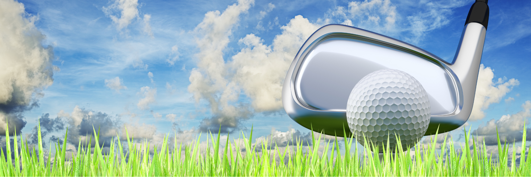 Chip in Fore Noyes Golf