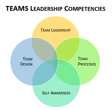 Graphic illustrating TEAMS leadership competencies: leadership, design, self-awareness, and processes