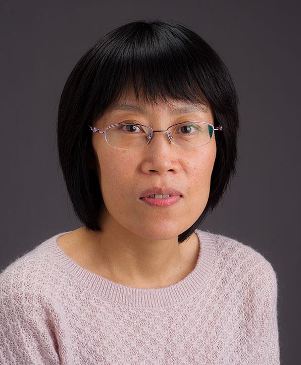 Ying Wang, M.D., Ph.D.