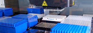 A variety of test samples ready to pass through an automation machine.
