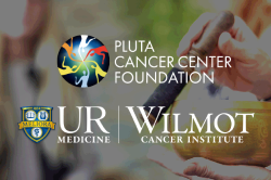 Pluta app Project card