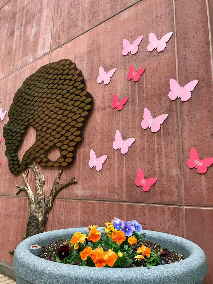 Grace's Garden