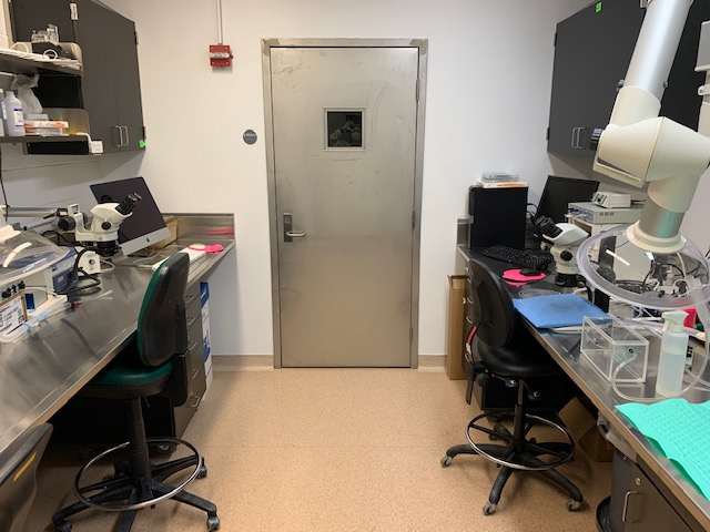 Surgery Suite 1