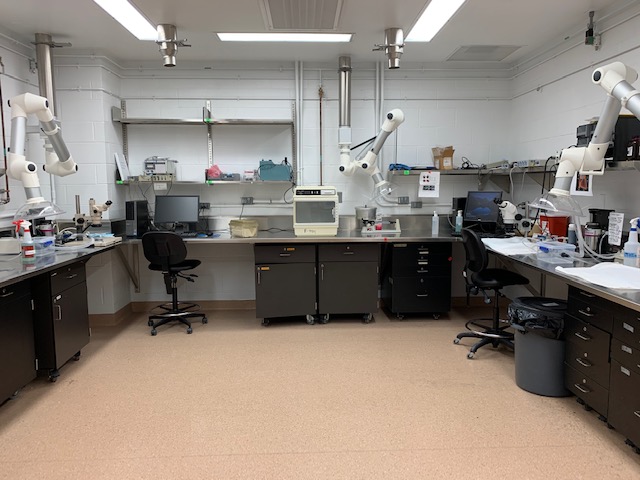 Surgery Suite 2