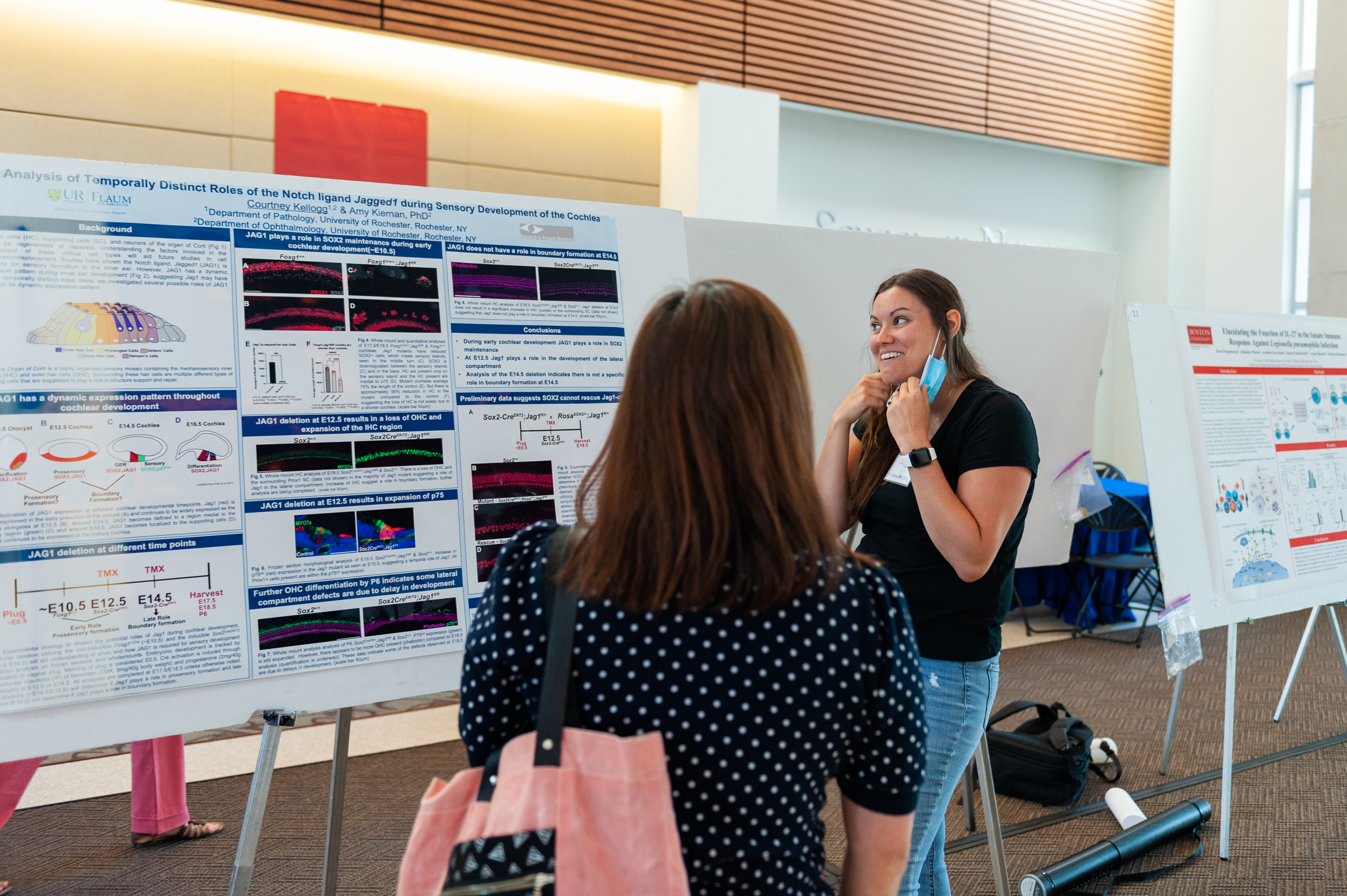 Poster Presentation