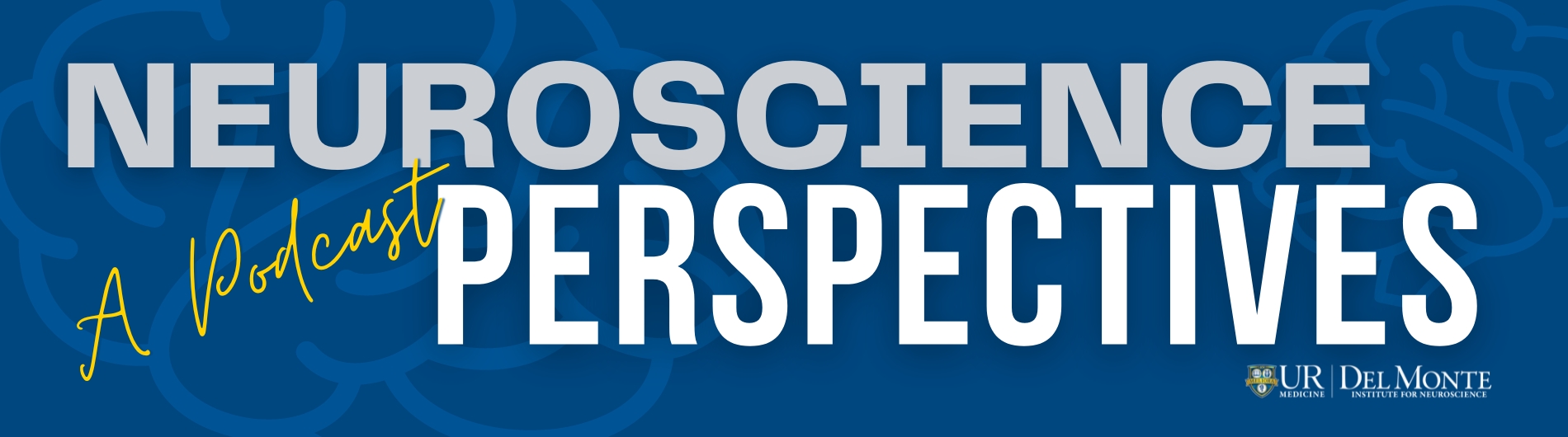 Neuroscience perspectives banner image