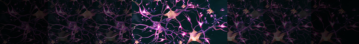 image of a single neuron