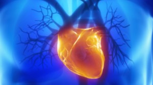 A graphic of a heart and veins.