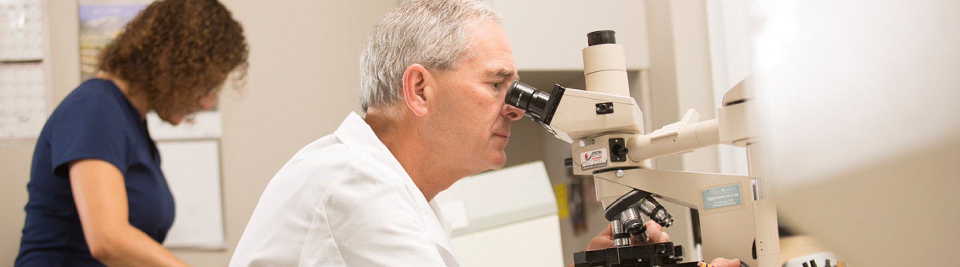 Dermatology University of Rochester Medical Center