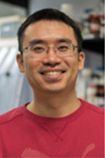 Heng Lin, PhD
