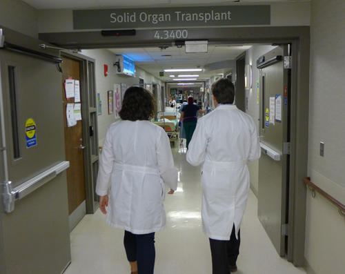 doctors walking in hospital