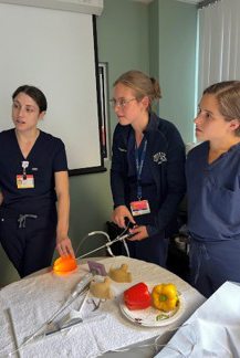 PGY-3 Residents looking at a monitor