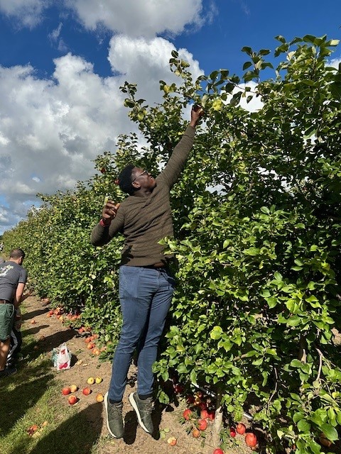 Emmanuel reaching for the top
