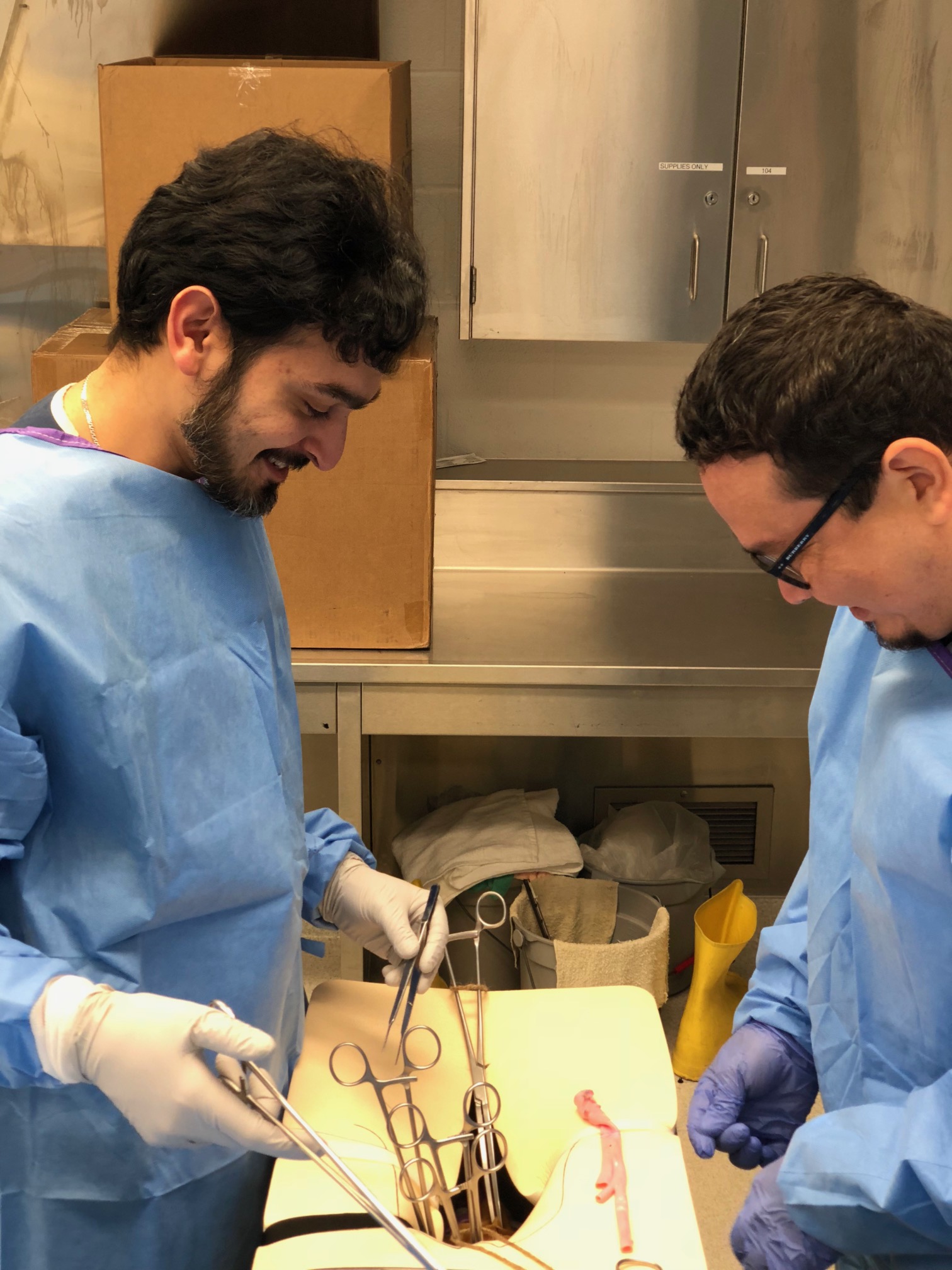 Two residents working with veins